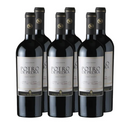 Vino Potro de Piedra Family Reserve Ensamblaje 750cc x6 (13.990 c/u)