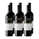 Vino Santa Ema Gran Reserva Carmenere x6 ($6.490 c/u)