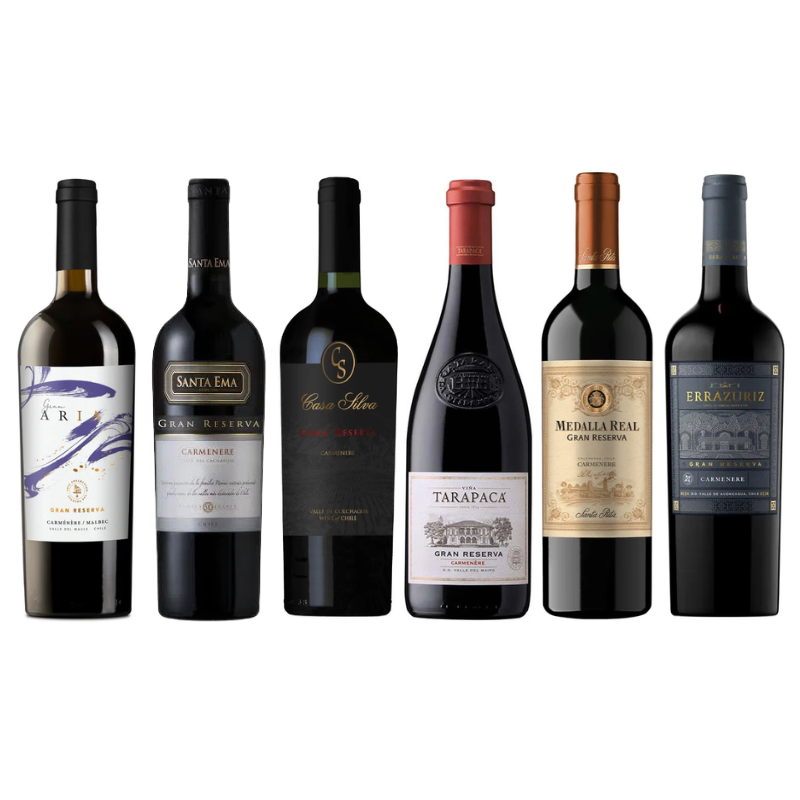 Caja Selección Carmenere Gran Reserva x6 - 6 Viñas Chilenas