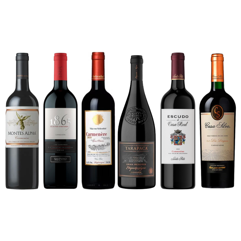 Caja Selección Premium Carmenere x6 - Grandes Vinos de Chile