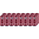 x24 Selva Viva Mojito Rubi (Frambuesa) 310cc