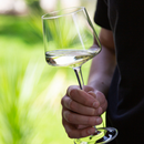 Set 4 Copas Cristal Vino Blanco Pinot Pleasure 550ml