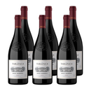 x6 Vino Tarapaca Gran Reserva Syrah 750cc ($6.790 c/u)