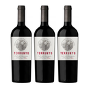 Pack 3 Vinos Terrunyo Cabernet Sauvignon 750cc