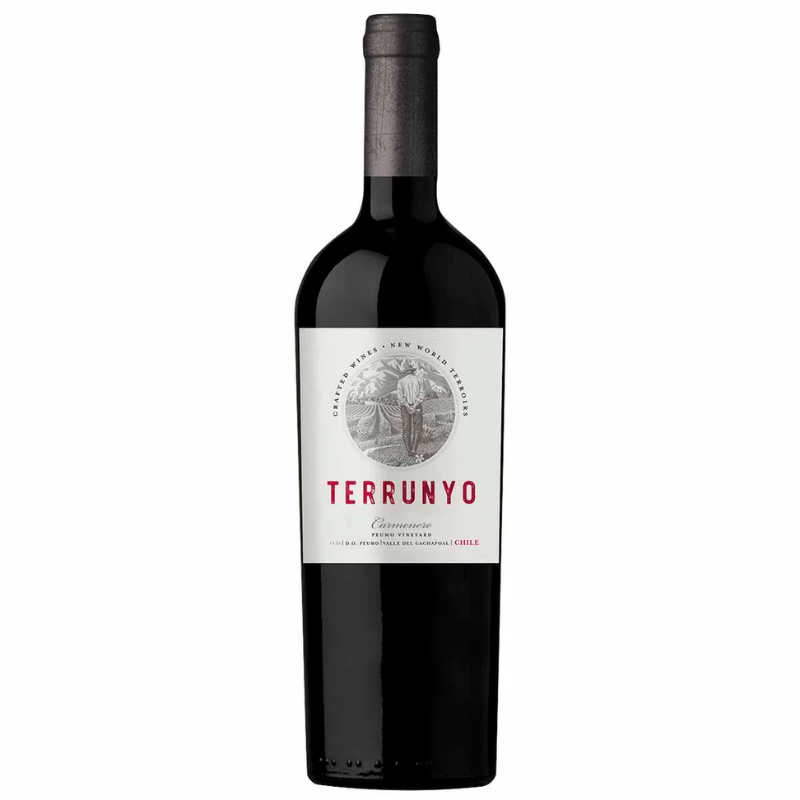 Vino Terrunyo Carmenere 750ml