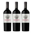 Pack 3 Terrunyo Carmenere 750cc