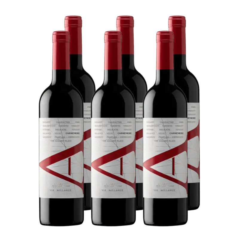 Vino VIK A Carmenere 750cc x6 ($14.990 c/u)